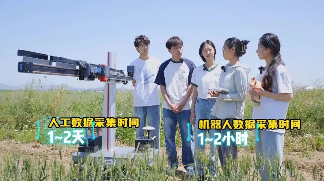 【大国粮策】“锄禾日当午”遇上“代码田间舞”!beat365AI农场主带你“云”种地 【大国粮策】“锄禾日当午”遇上“代码田间舞”!beat365AI农场主带你“云”种地