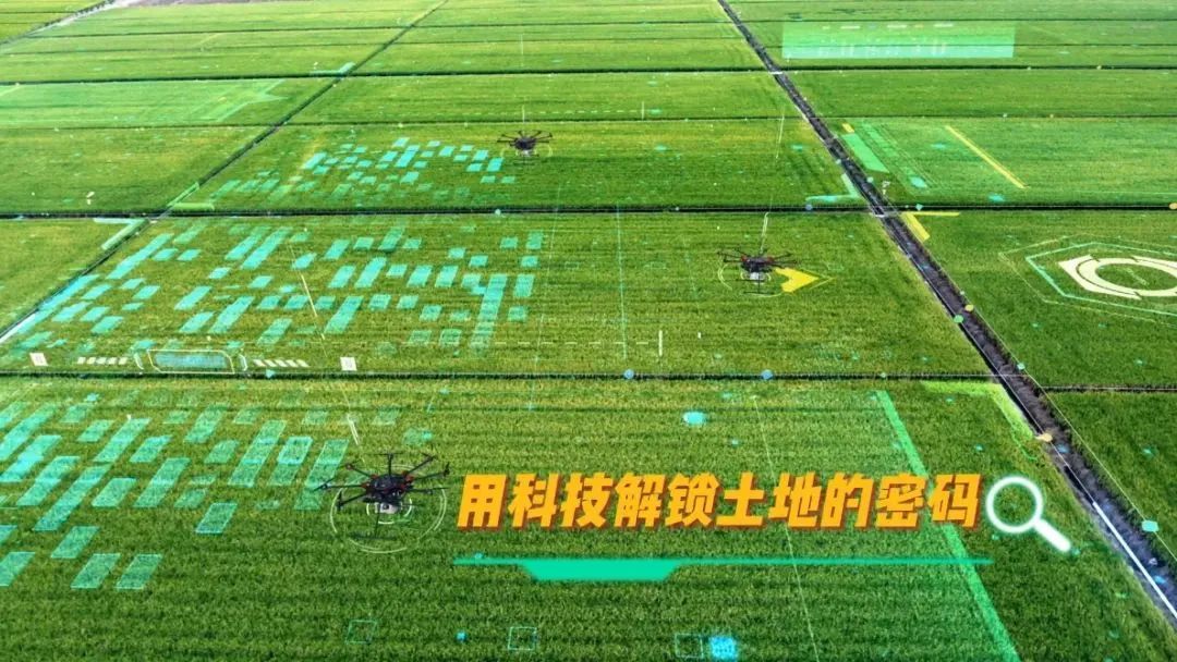 【大国粮策】“锄禾日当午”遇上“代码田间舞”!beat365AI农场主带你“云”种地 【大国粮策】“锄禾日当午”遇上“代码田间舞”!beat365AI农场主带你“云”种地