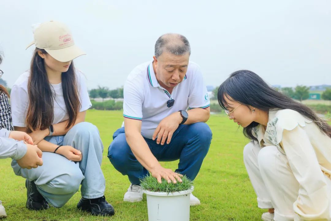 被种草了!苏超刷“坪”背后的宝藏专业 被种草了!苏超刷“坪”背后的宝藏专业